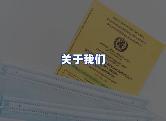 专业团队